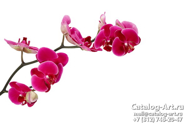 Натяжные потолки с фотопечатью - Розовые орхидеи 60